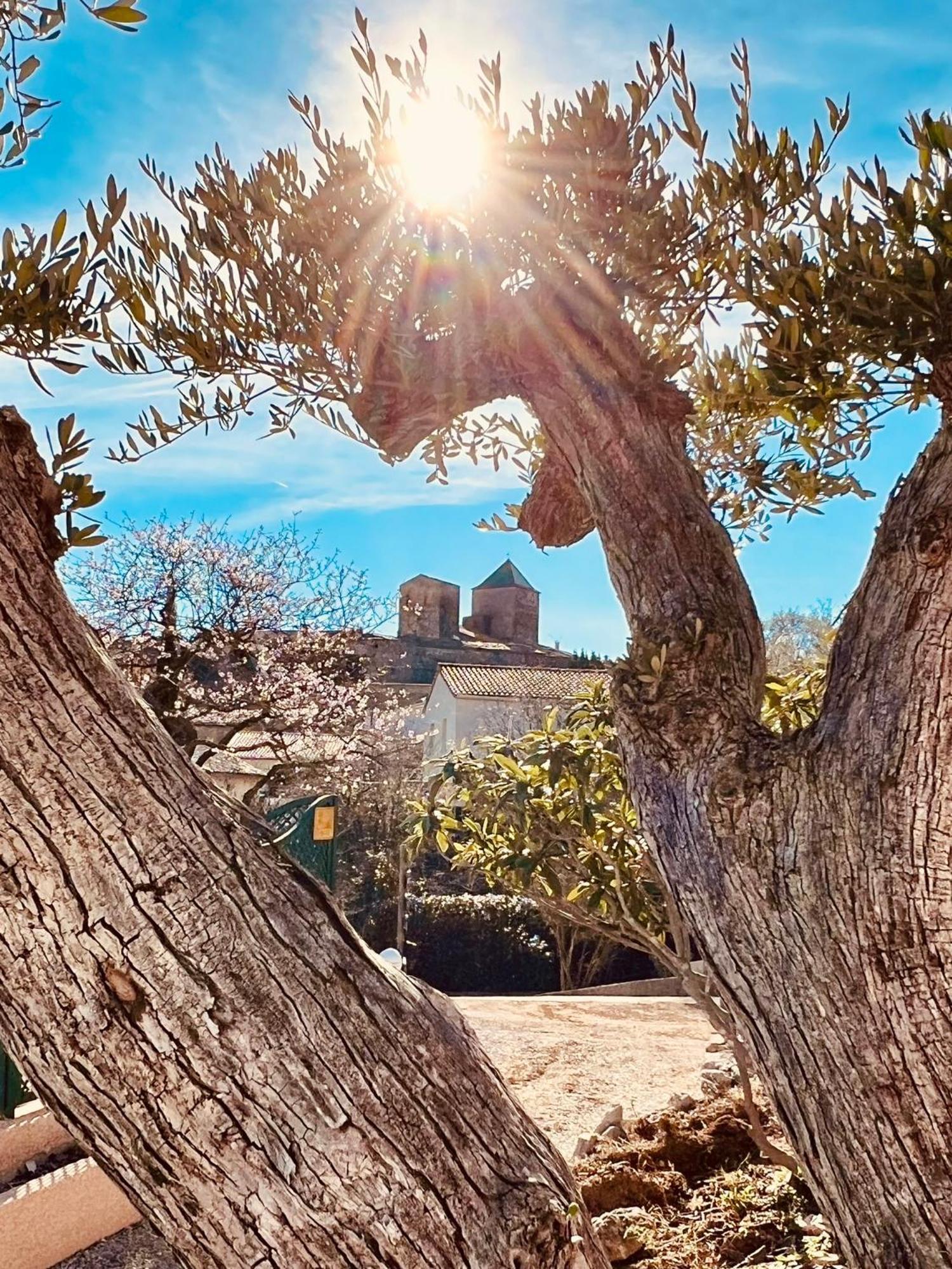 Melisande Au Pays Des Orjouliers Saint-Jean-de-Fos Exterior foto